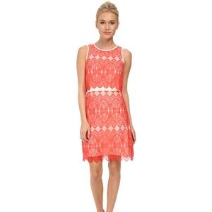 Kensie lace dress